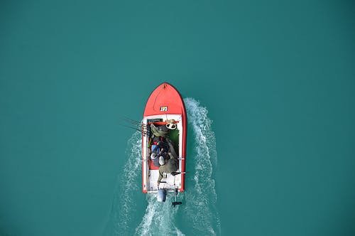 What Types of Fish Can You Catch on Alaska Excursions?