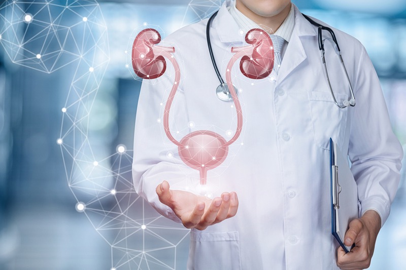 What Is a Urologist For?